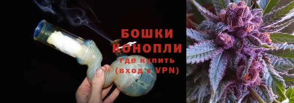 PSILOCYBIN Мегион