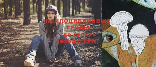 твердый Медвежьегорск