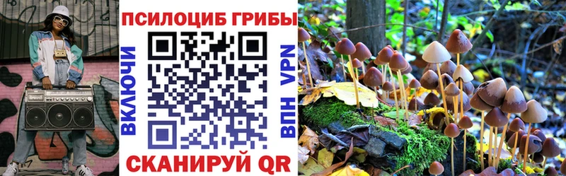 где найти   Называевск  Псилоцибиновые грибы MAGIC MUSHROOMS 